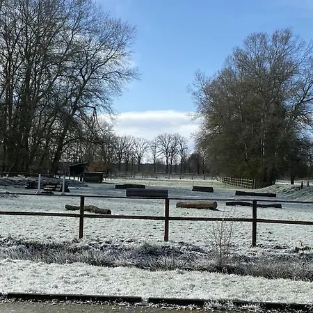 On A Horse Farm