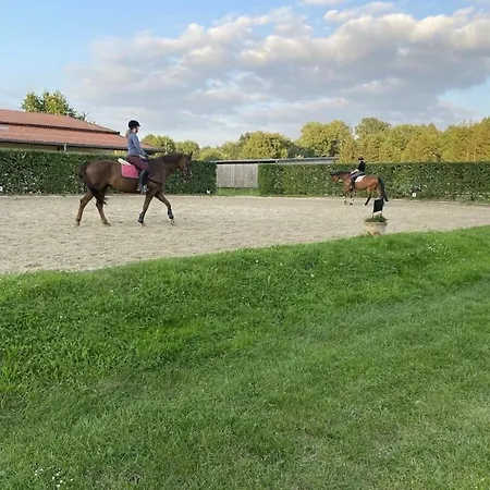 Prázdninový dům On A Horse Farm