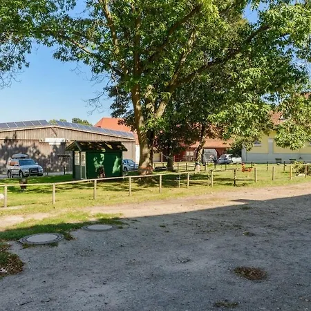 On A Horse Farm *