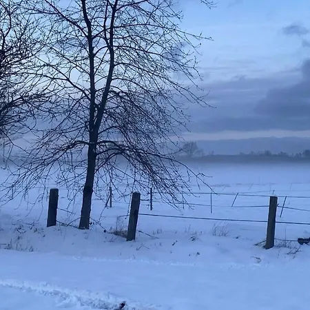 On A Horse Farm