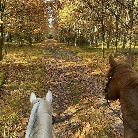 On A Horse Farm Prázdninový dům *