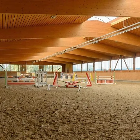 On A Horse Farm *